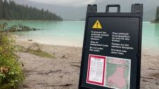 B.C.'s Columbia River watershed declared infected with fish-killing whirling disease
